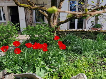 Colocation Vufflens-La-Ville 442275-5