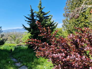 Colocation Vufflens-La-Ville 442275-7