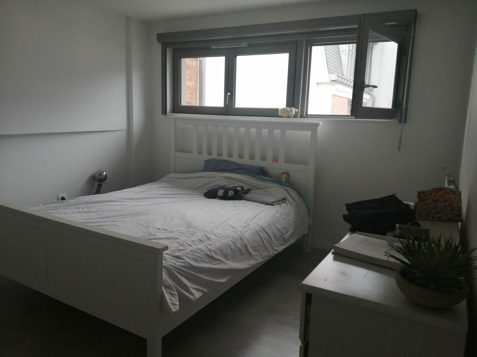 Colocation Paris 247459