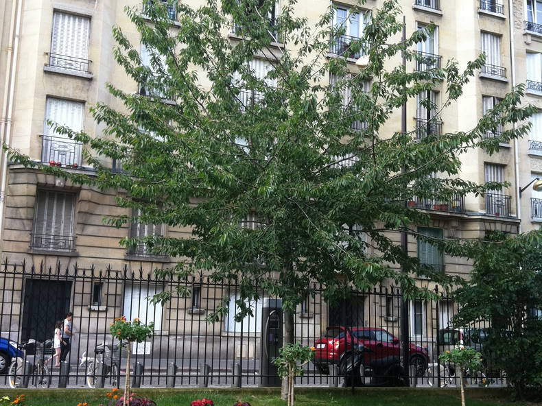 Chambre Chez L'habitant Paris 107598-5