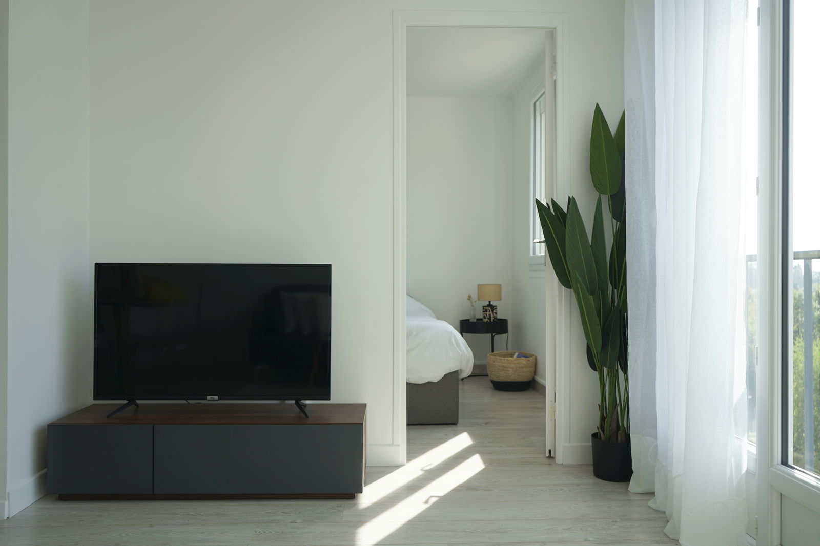 Colocation Mont-Saint-Aignan 261535