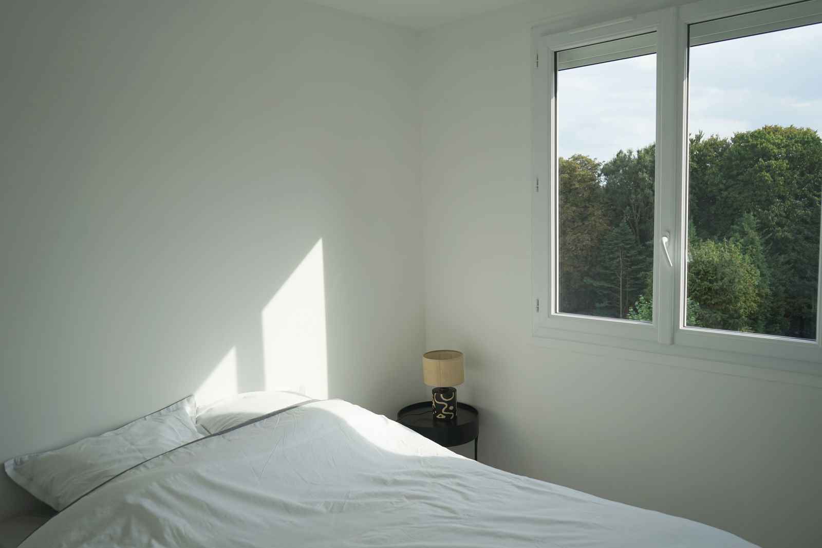 Colocation Mont-Saint-Aignan 265131