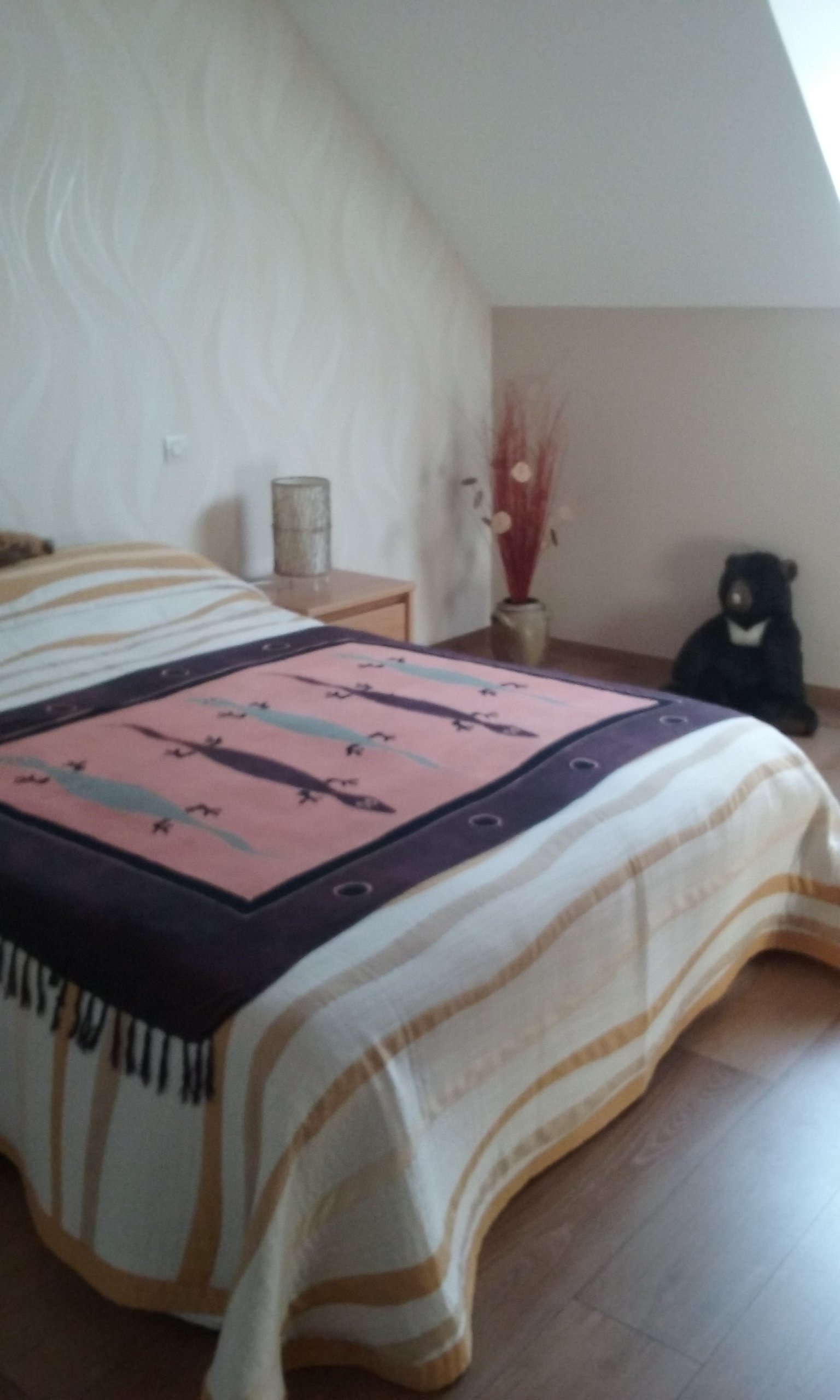 Hospedagem Em Casa De Família Sargé-lès-le-Mans 170023