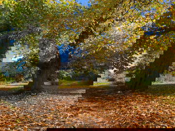 Chambre Chez L'habitant Huy 661873-6