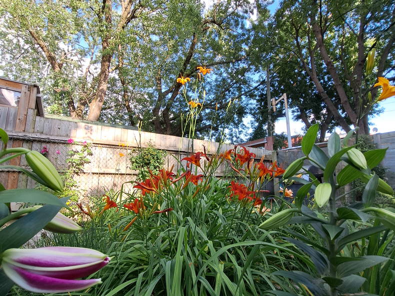 Gastfamilie Montréal 238660-4