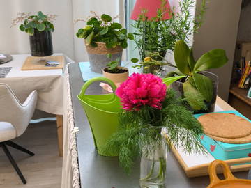 Chambre chez l'habitant à louer à Neupré - photo 3 : autre pièce-3