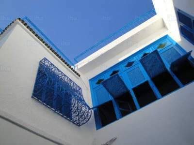 Chambre Chez L'habitant Carthage 169757