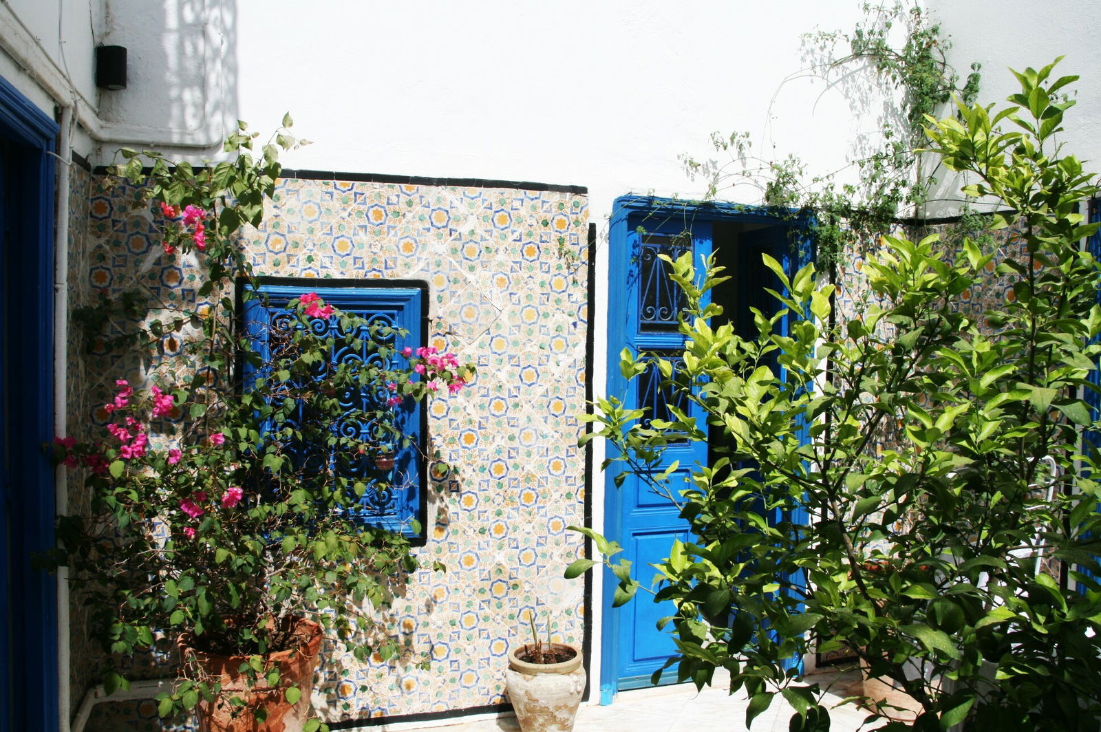 Chambre Chez L'habitant Carthage 169757