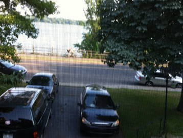 Kolokasie Montréal 35907-3