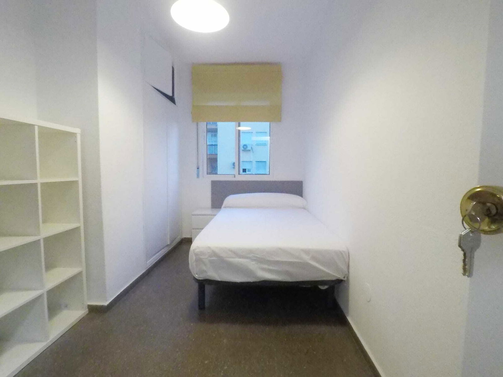 Colocation Málaga 245670