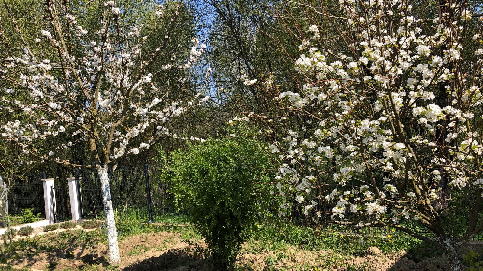 Collocazione Nantes 63045