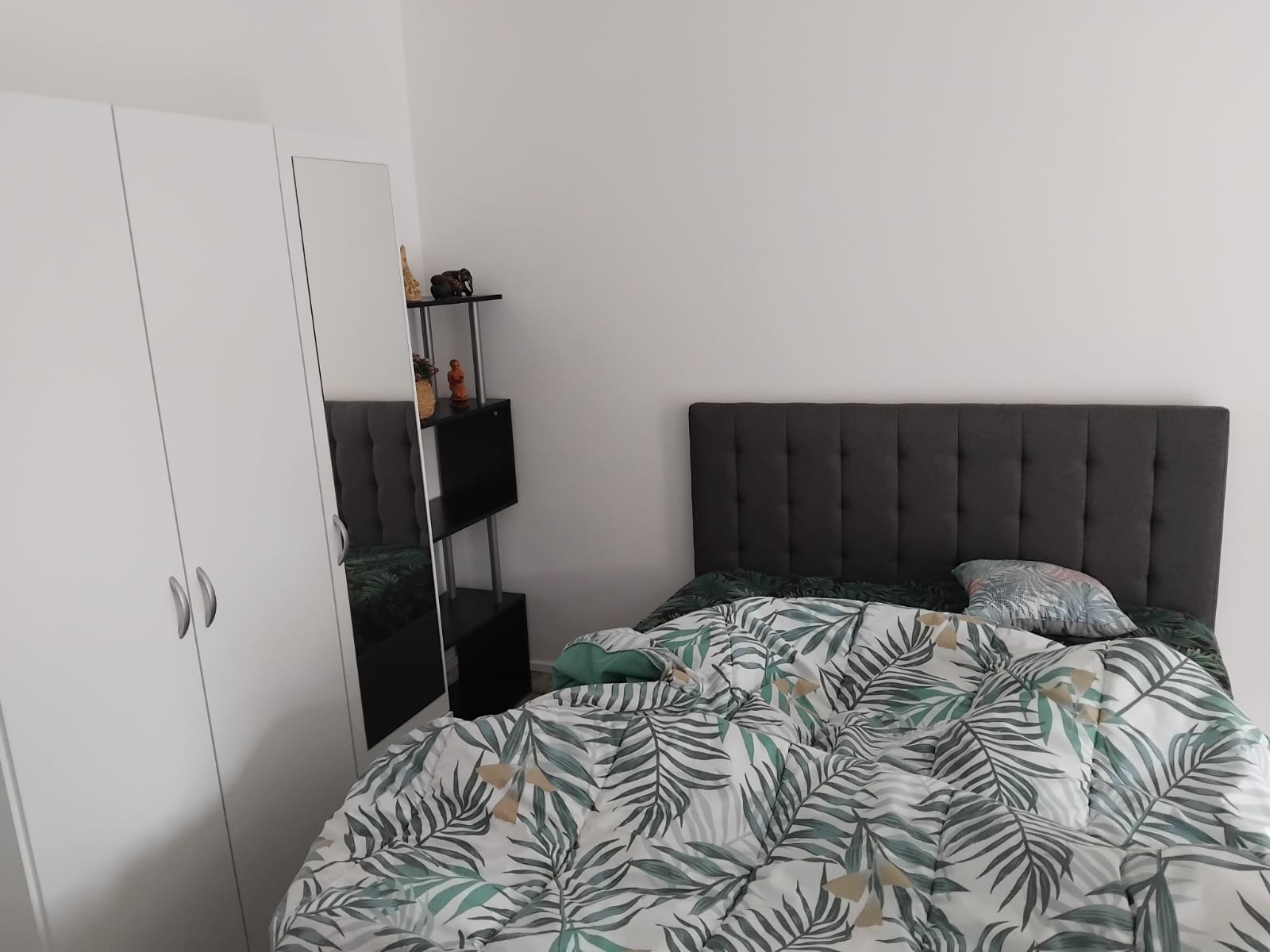 Colocação Nice 411550