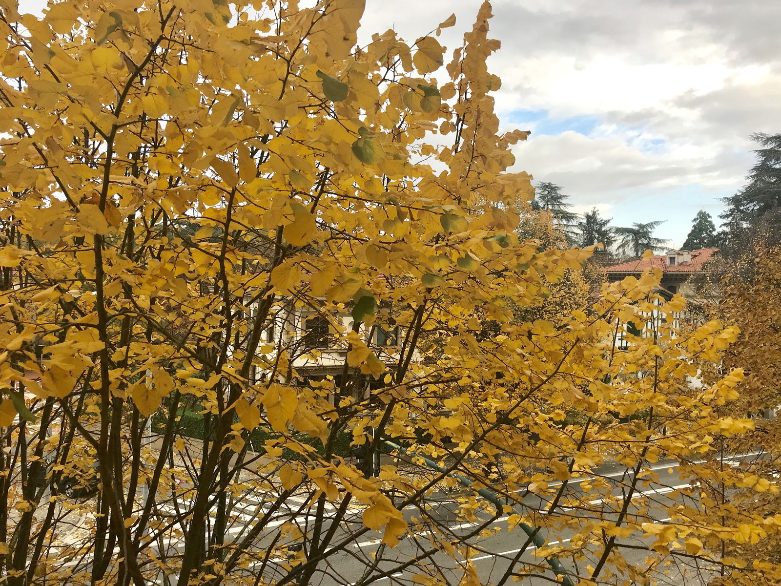 Hospedagem Em Casa De Família Pamplona 217562