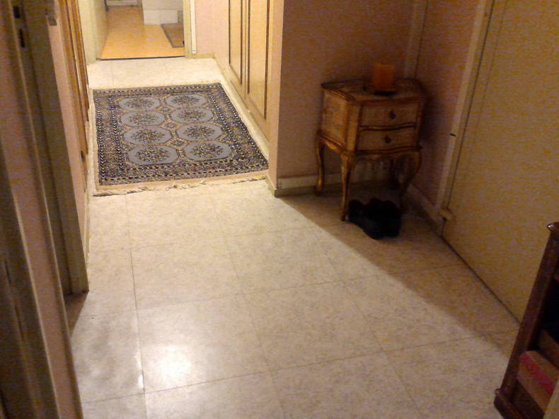 Gastfamilie Suresnes 334827-1