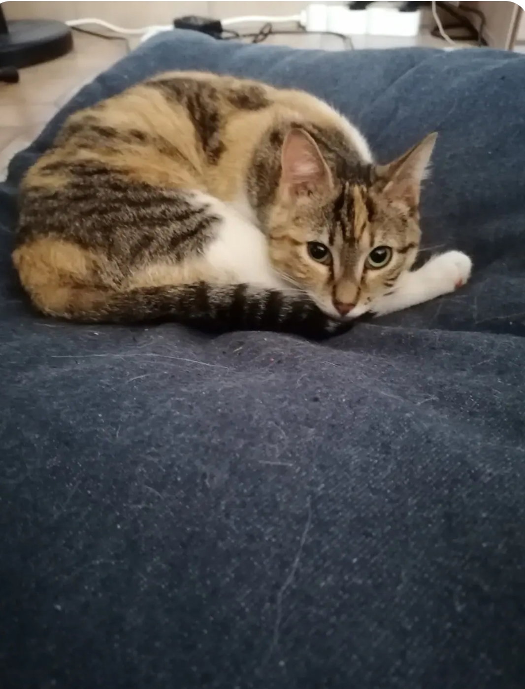 Hospedagem Em Casa De Família Le Retail 651590