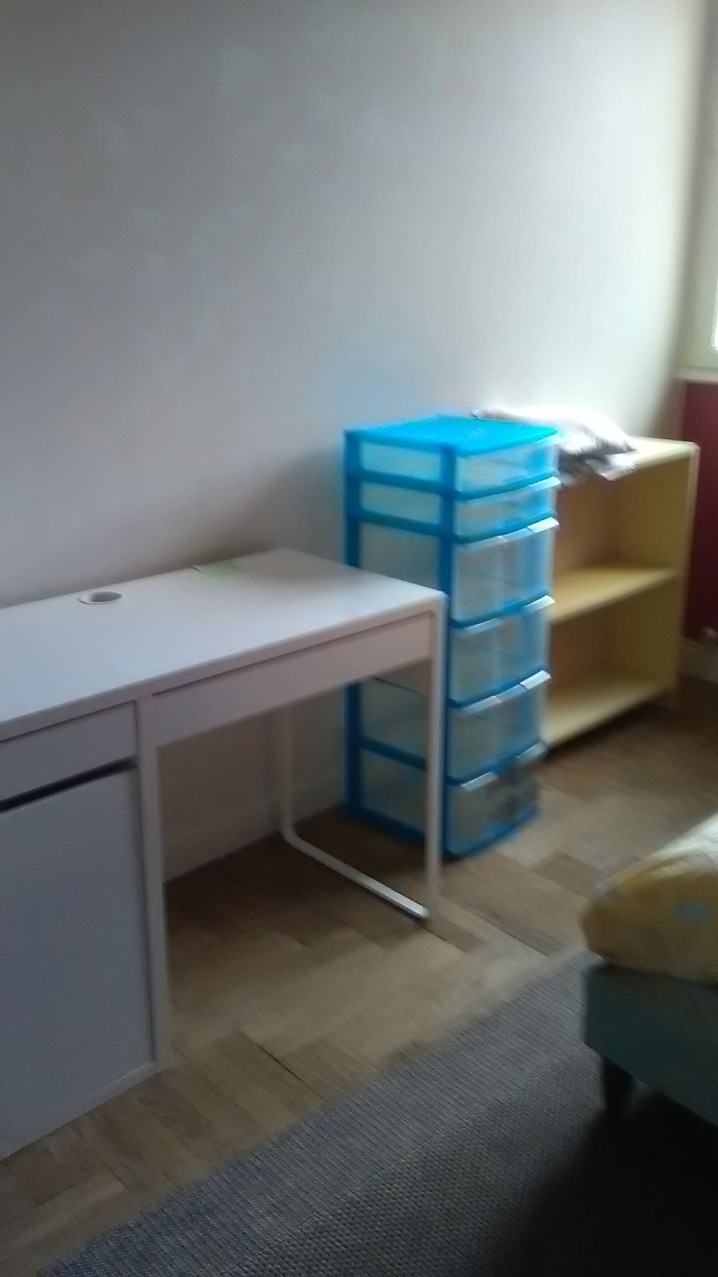 Hospedagem Em Casa De Família Lyon-3E-Arrondissement 142502