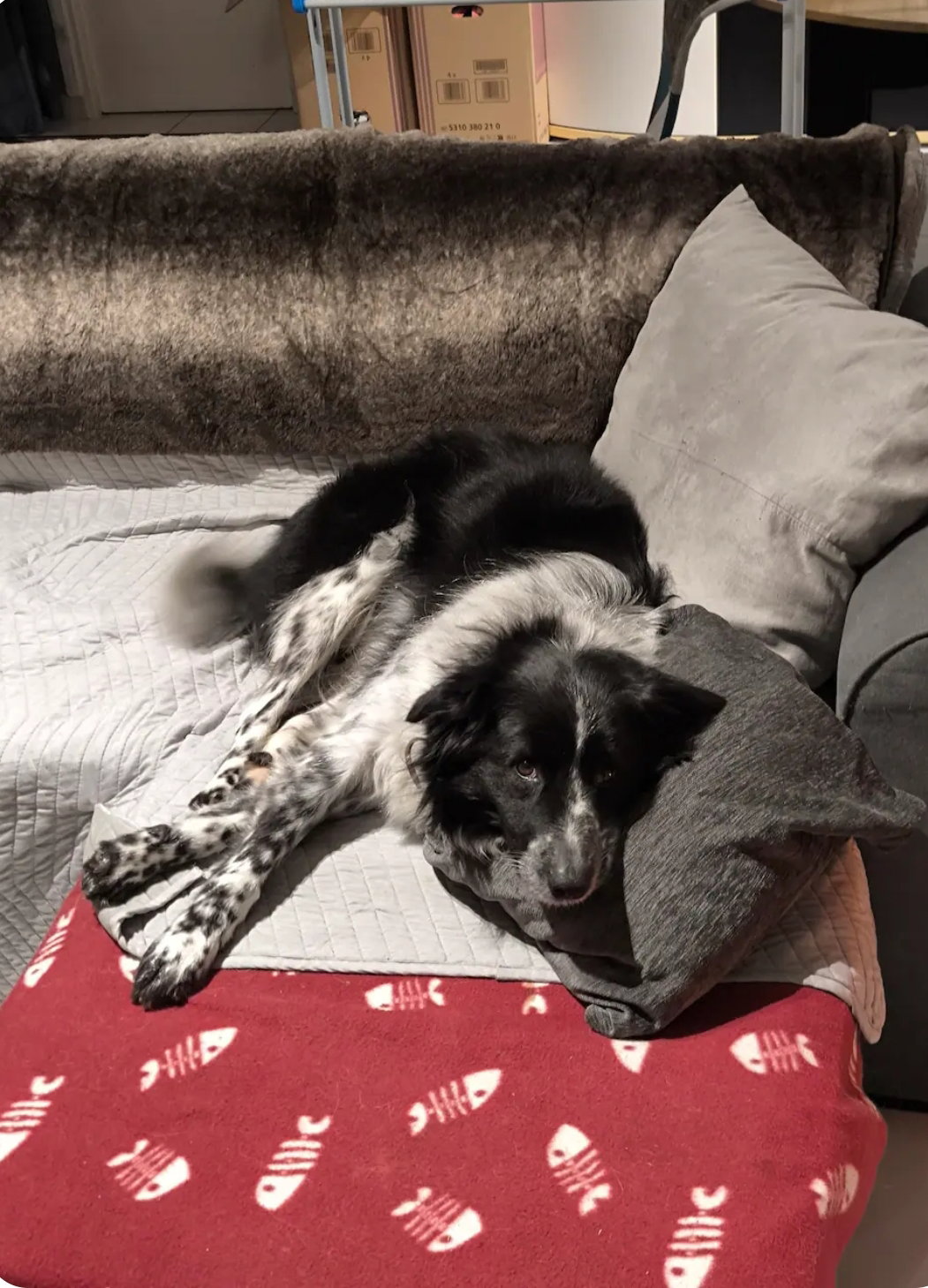 Famiglia Le Retail 651590