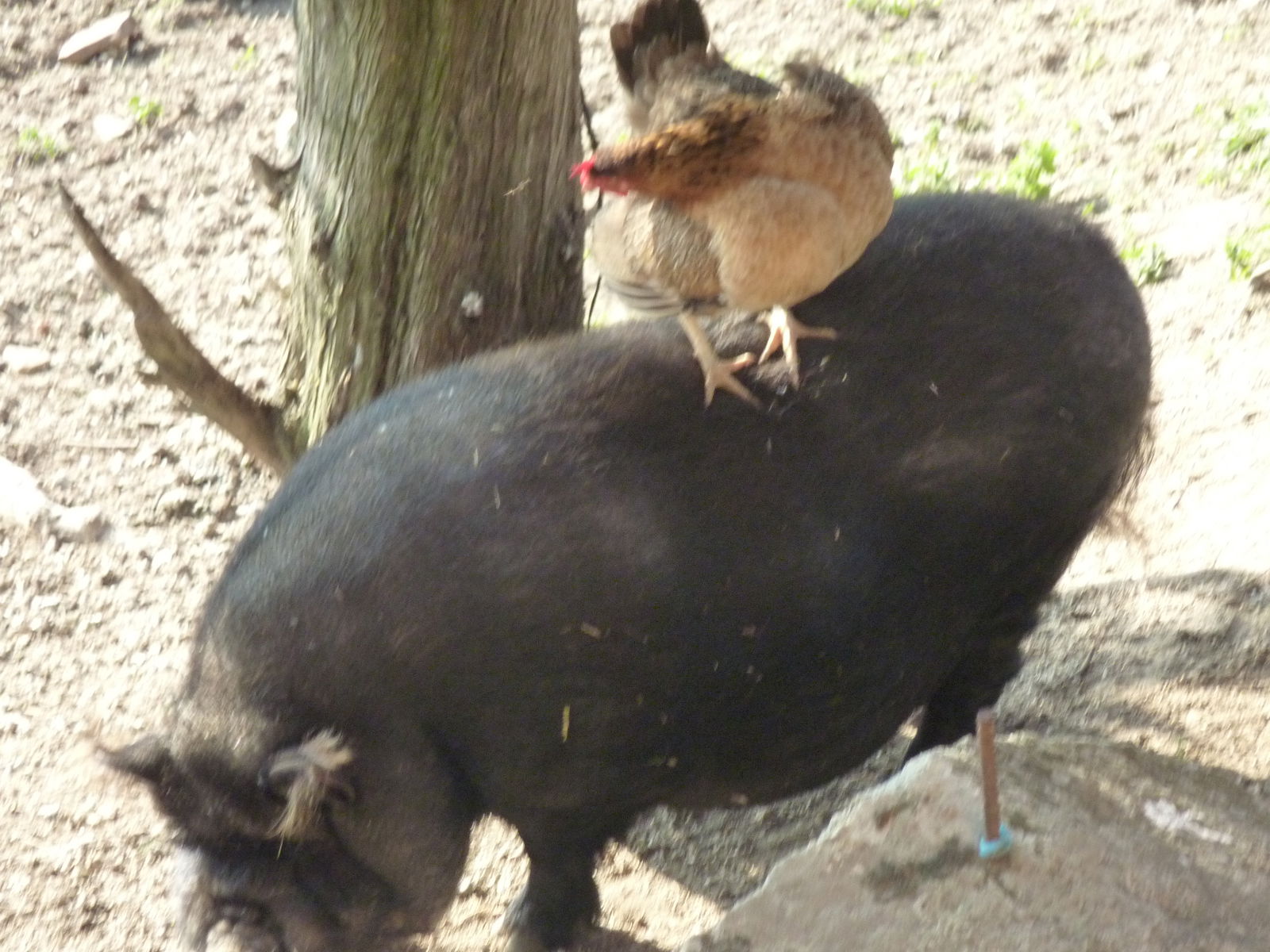 Camere Per Gli Ospiti Saint-Peray 21436