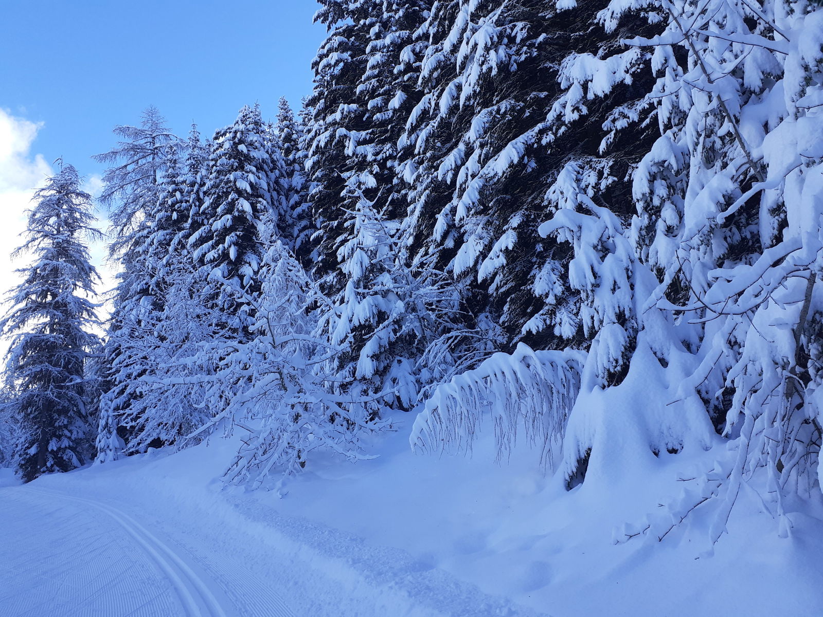 Gehele Woning Saint-Julien-en-Champsaur 651138