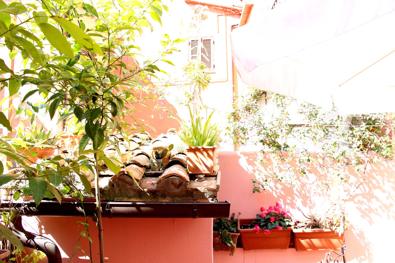 Oberoende Studio Roma 131925