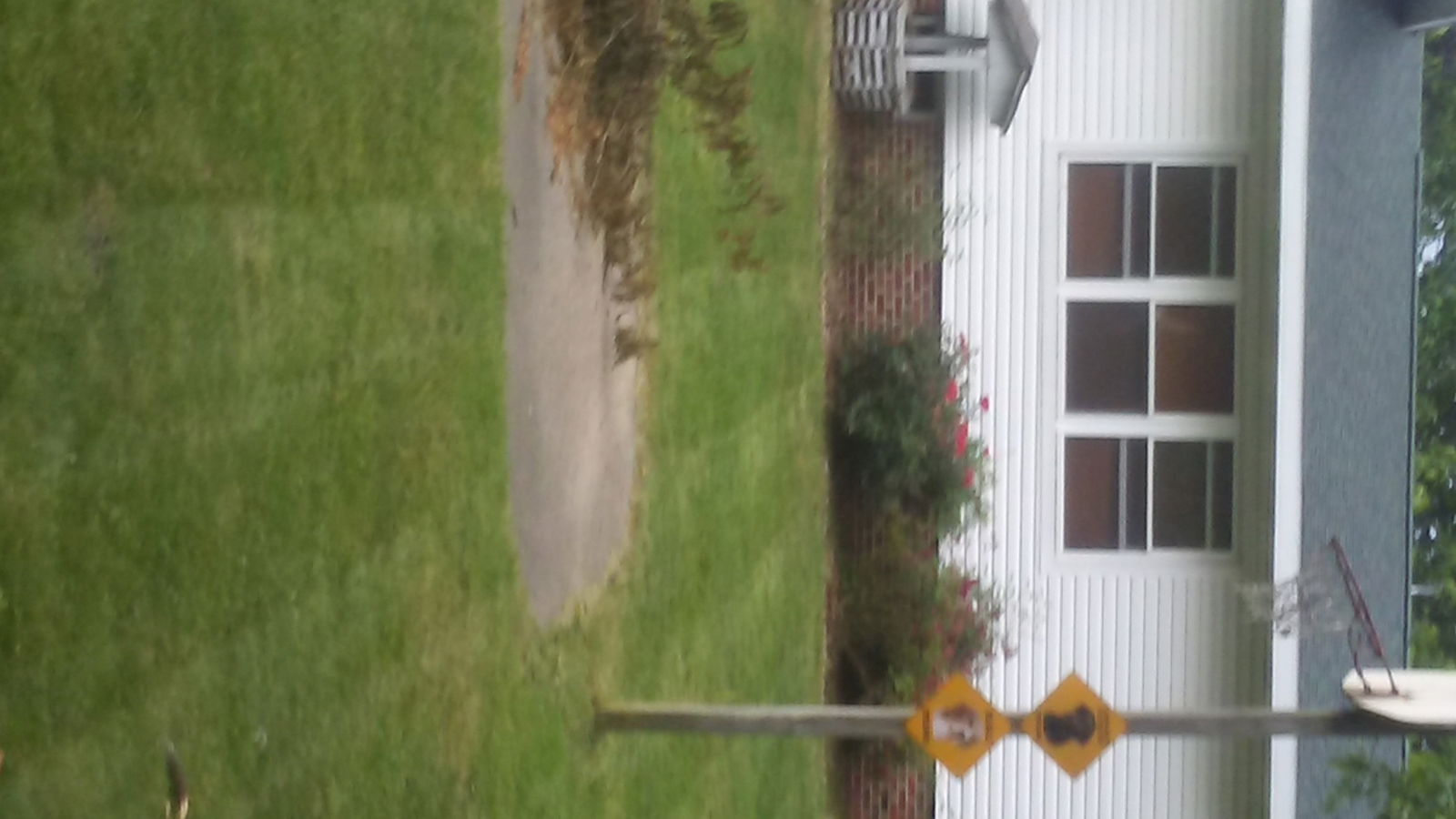 Chambre Chez L'habitant Elsie 195610