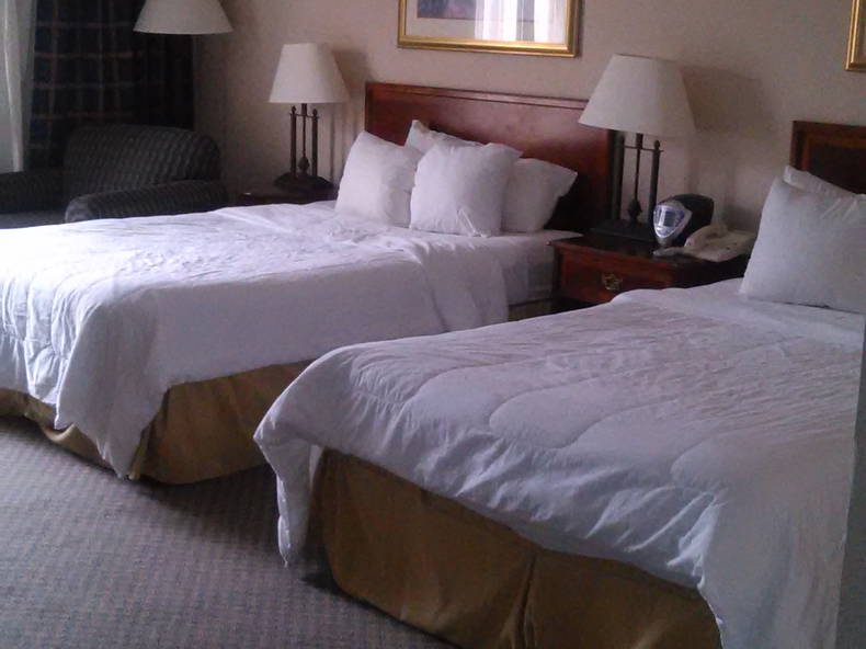 Bed And Breakfast Richmond 130525-4