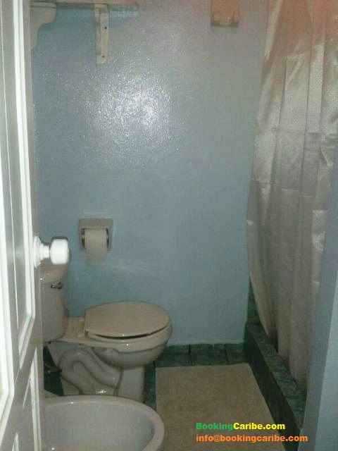 Onafhankelijke Studio Dominicus 114445