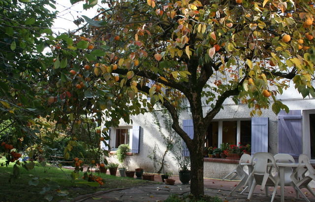 Gaascht Zëmmeren Toulouse 24544