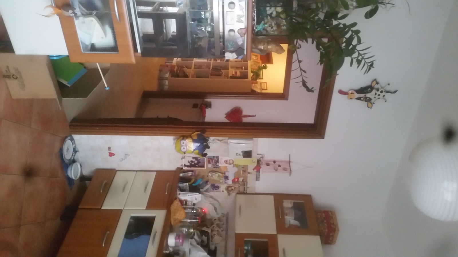 Gastfamilie Milano 150988