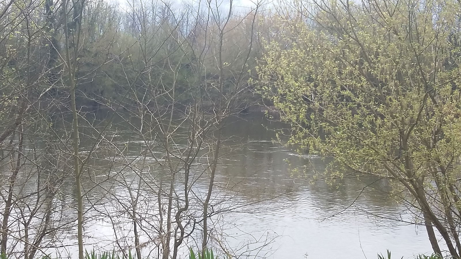 Gastfamilie Lamothe-Montravel 201442