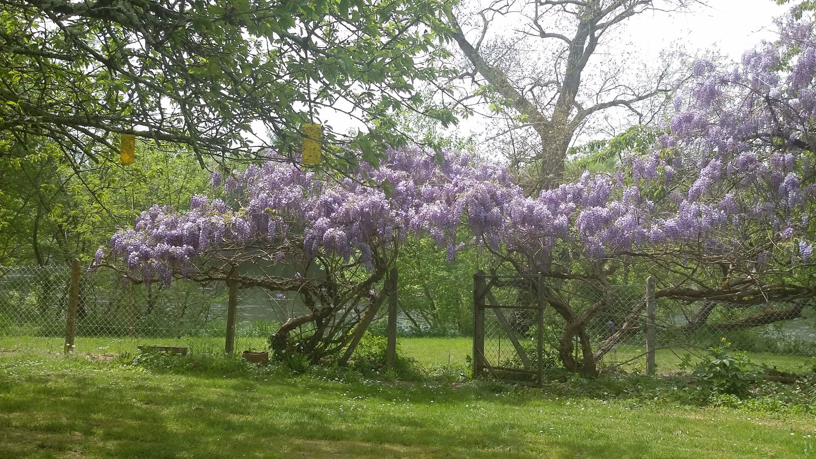 Gastfamilie Lamothe-Montravel 201442