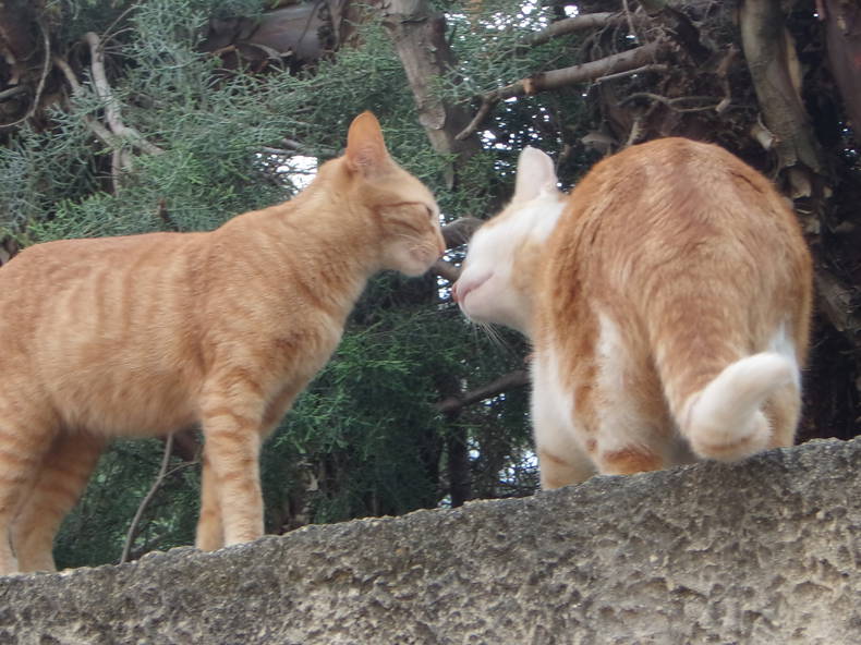 Toda La Casa Sorgues 162543-4