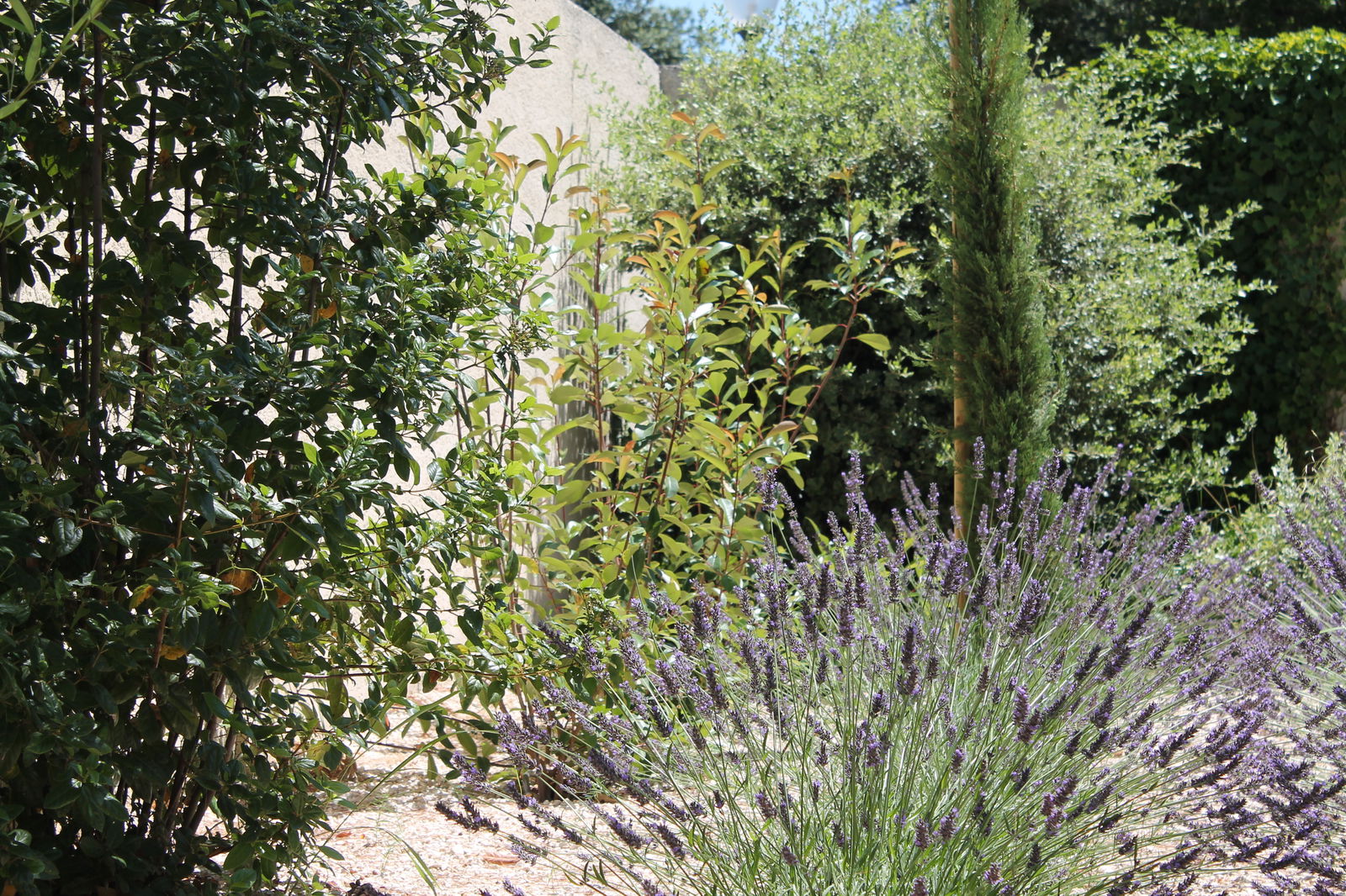 Homestay Garrigues-Sainte-Eulalie 188345