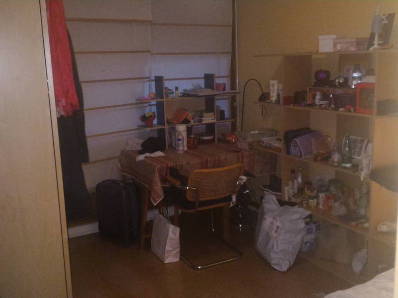 Gastfamilie Vélizy-Villacoublay 223323-3