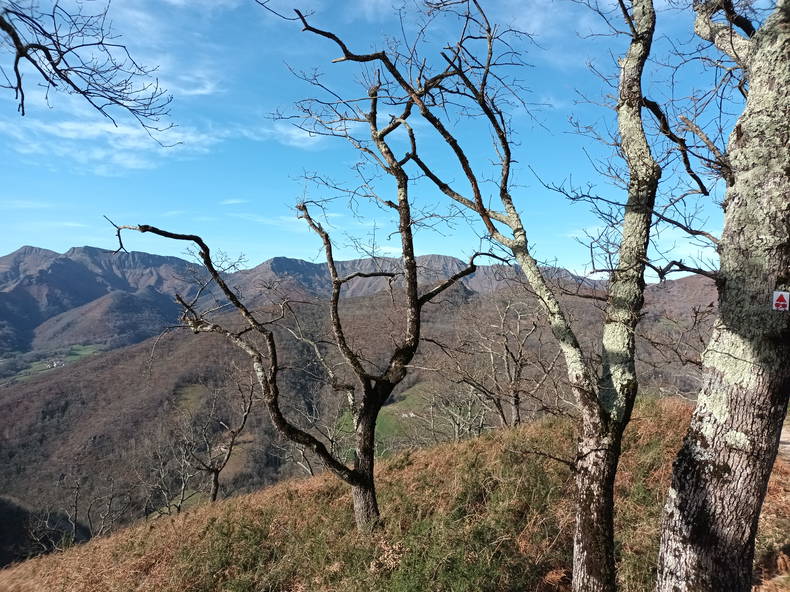 Homestay Saint-Pierre-d'Irube 256555-1