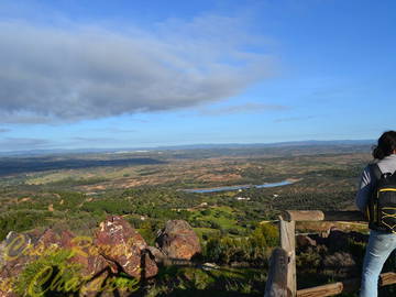 Logement Entier Zalamea La Real 97514-10