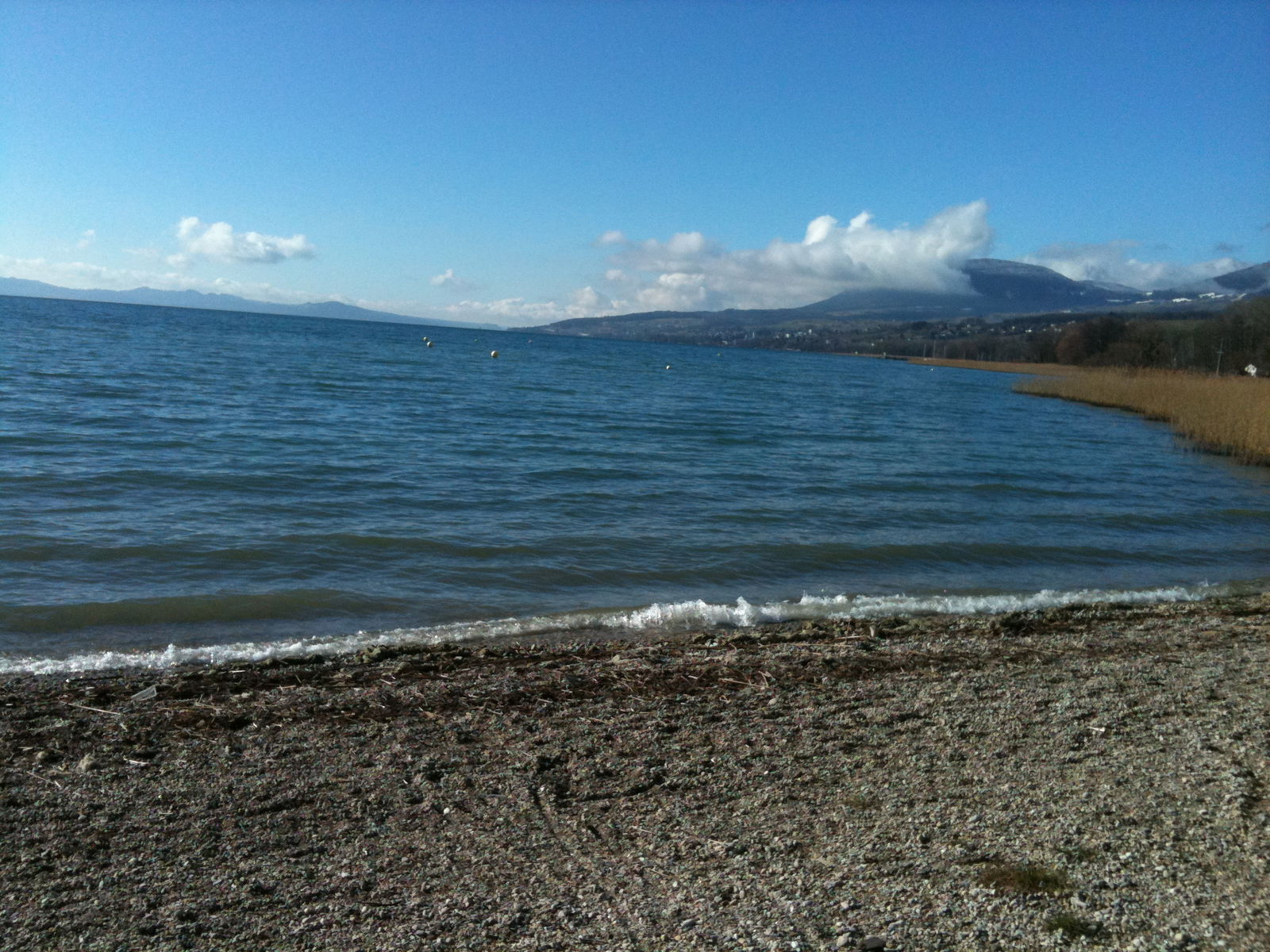 Gastfamilie Bevaix 107517