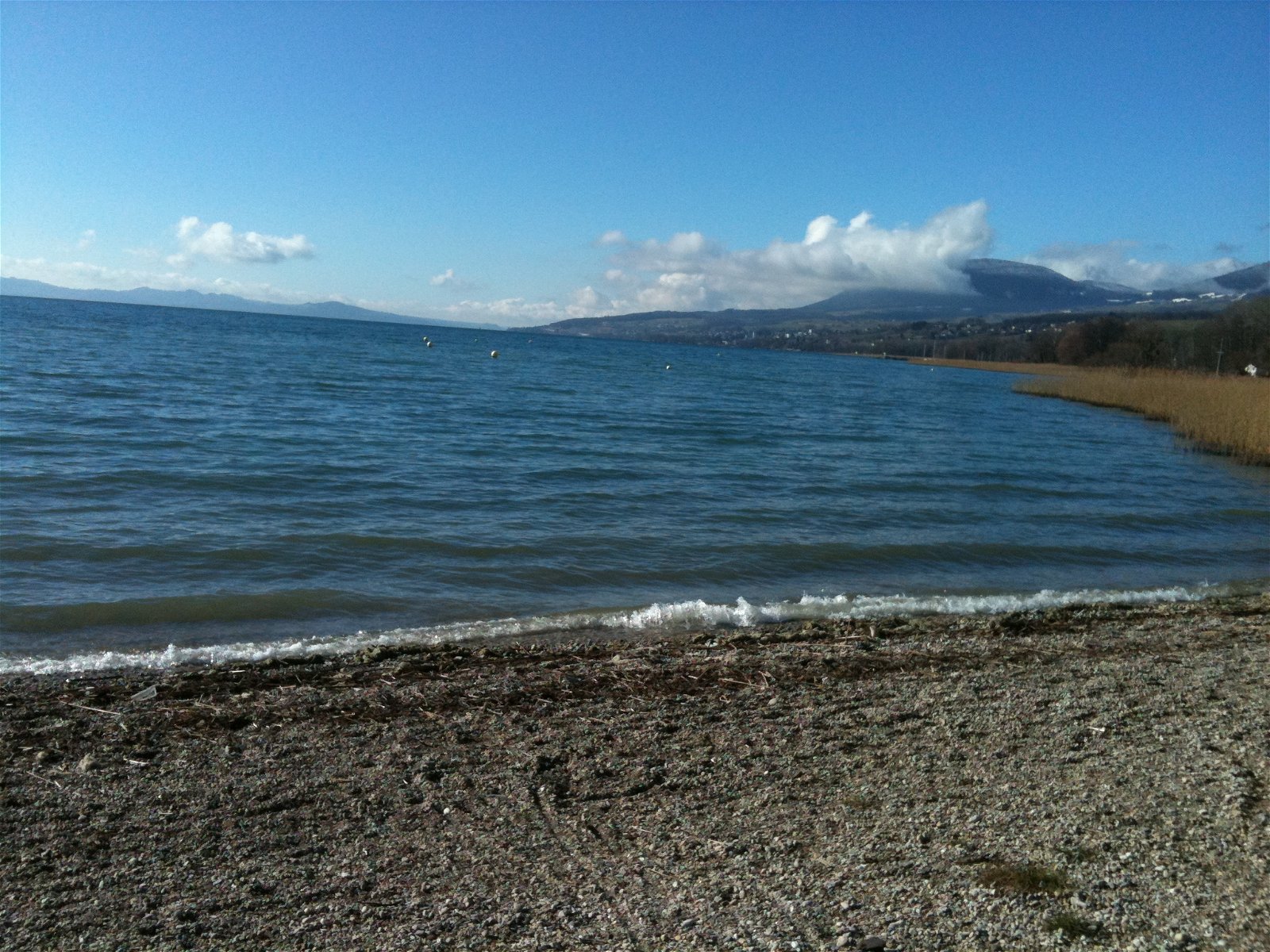 Hospedagem Em Casa De Família Bevaix 107517