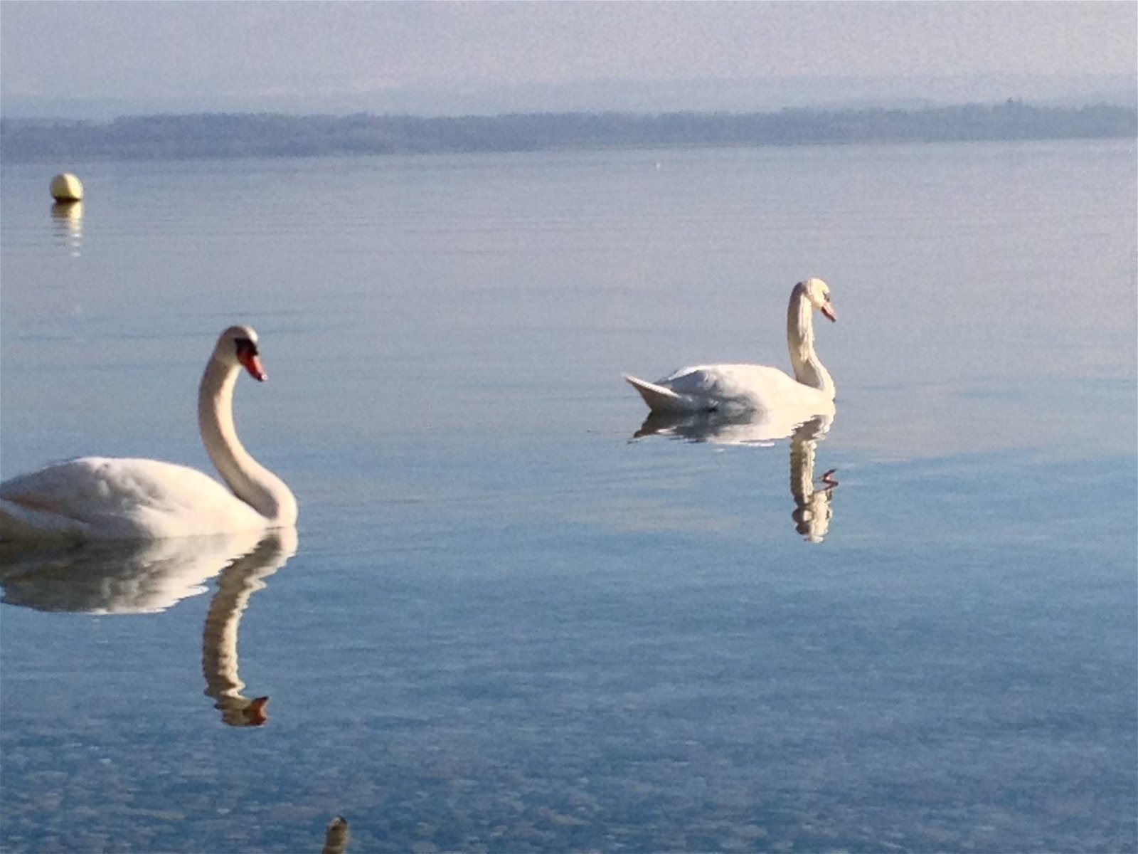 Hospedagem Em Casa De Família Bevaix 107517