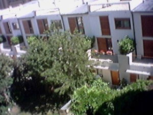 Zusammenleben Paris 536312