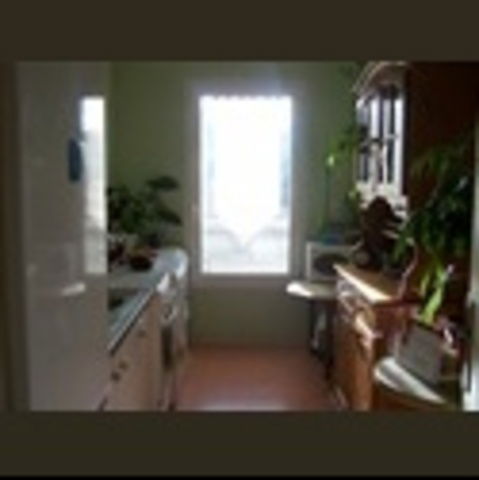 Kolokasie Orsay 15646