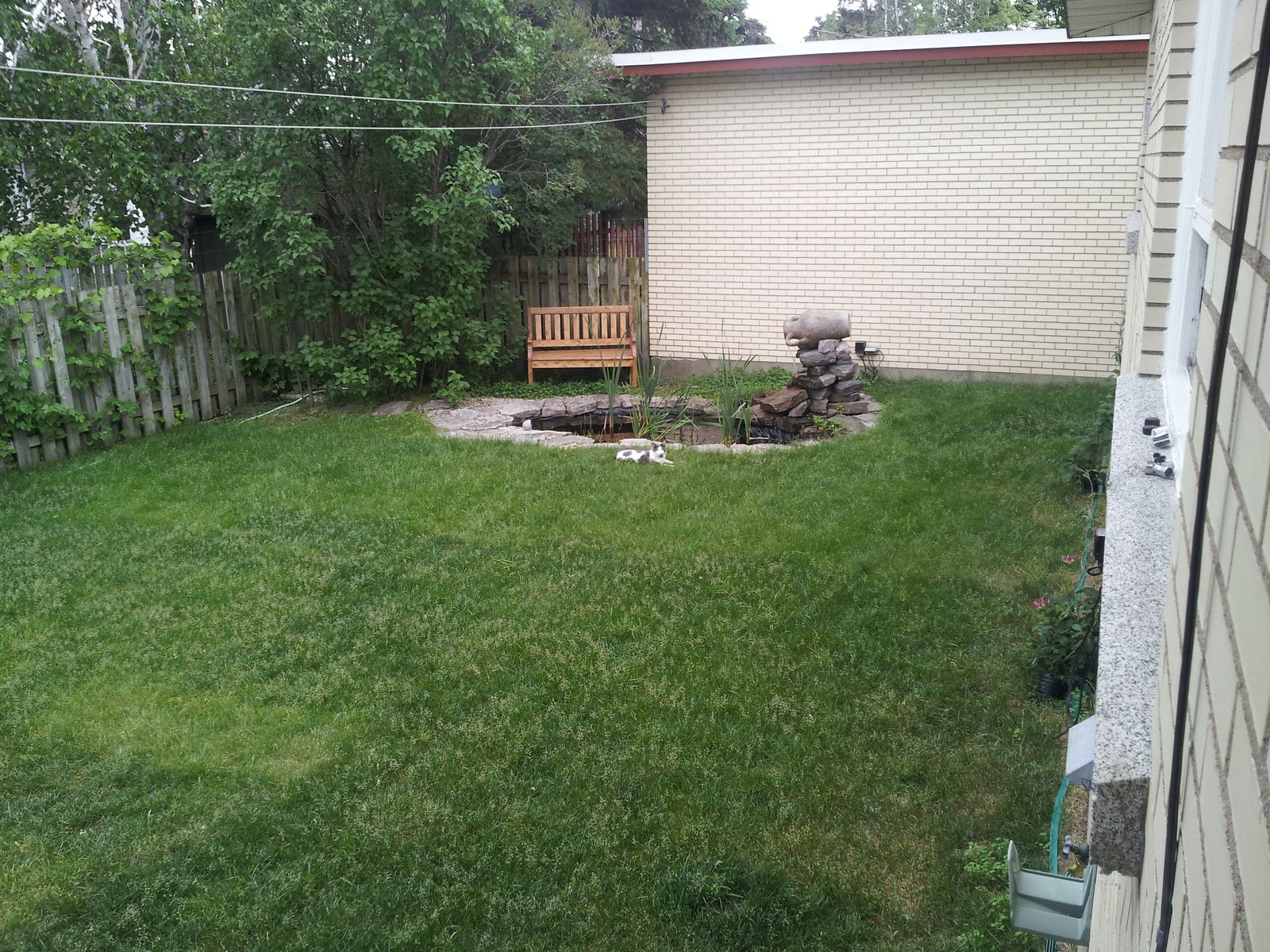 Kolokasie Trois-Rivières 88032