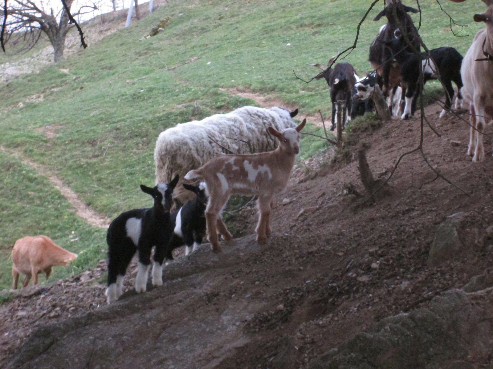 Quartos De Hóspedes Saint-Peray 21436