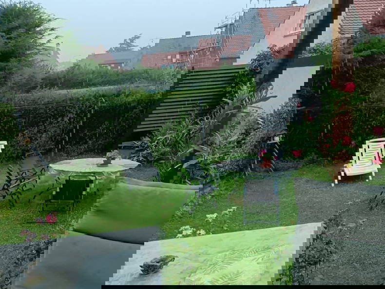 Quedarse En Casa Colmar 534037-4