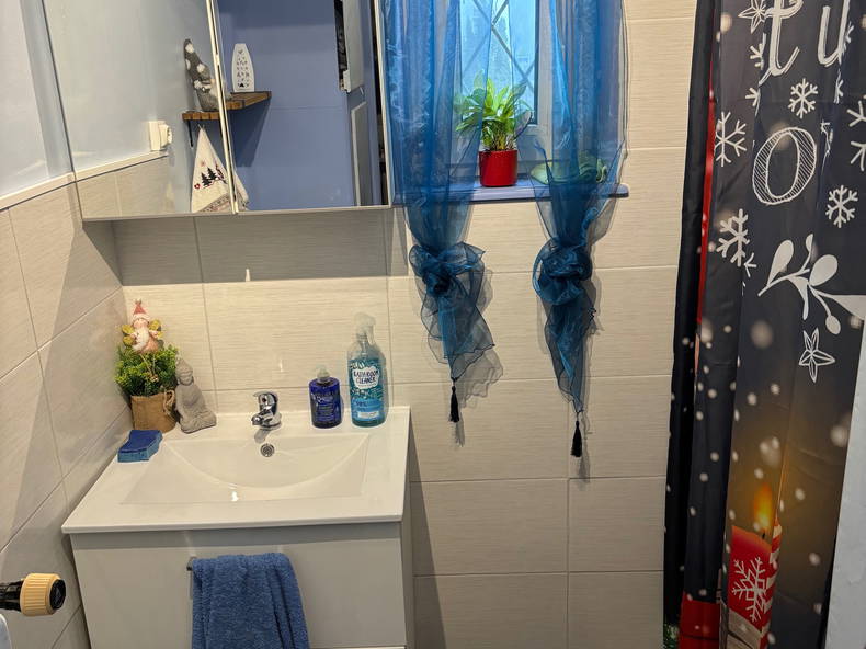 Chambre Chez L'habitant Colmar 161681-5