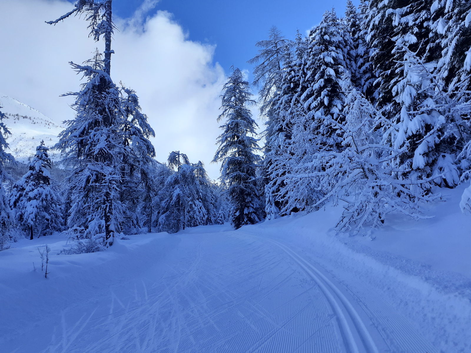 Ganz Haus Saint-Julien-en-Champsaur 651138