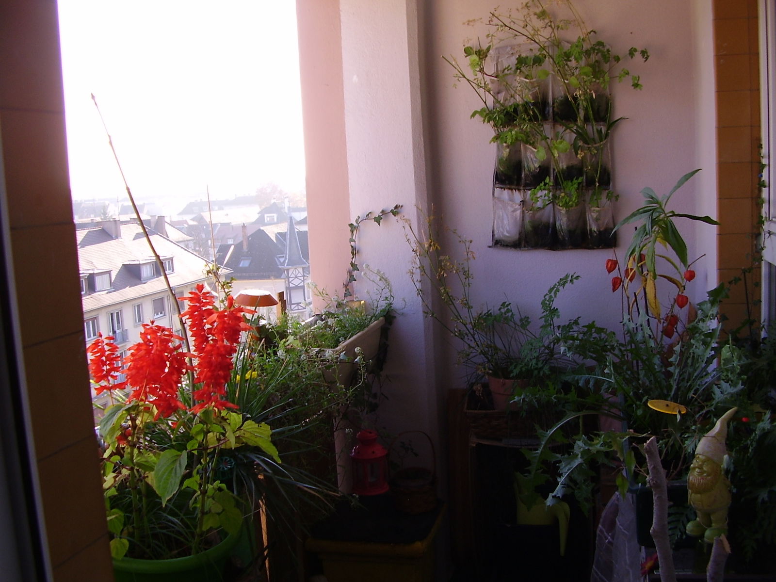 Kolokation Strasbourg 146432