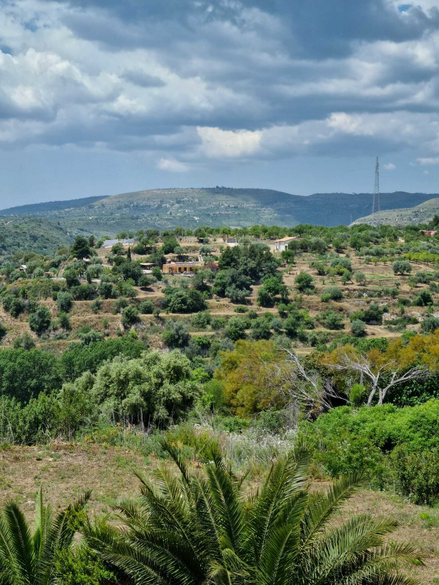 Onafhankelijke Studio Noto 258436