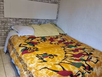 Colocation Ruaudin 141598-11