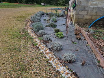 Colocation Ruaudin 141598-24